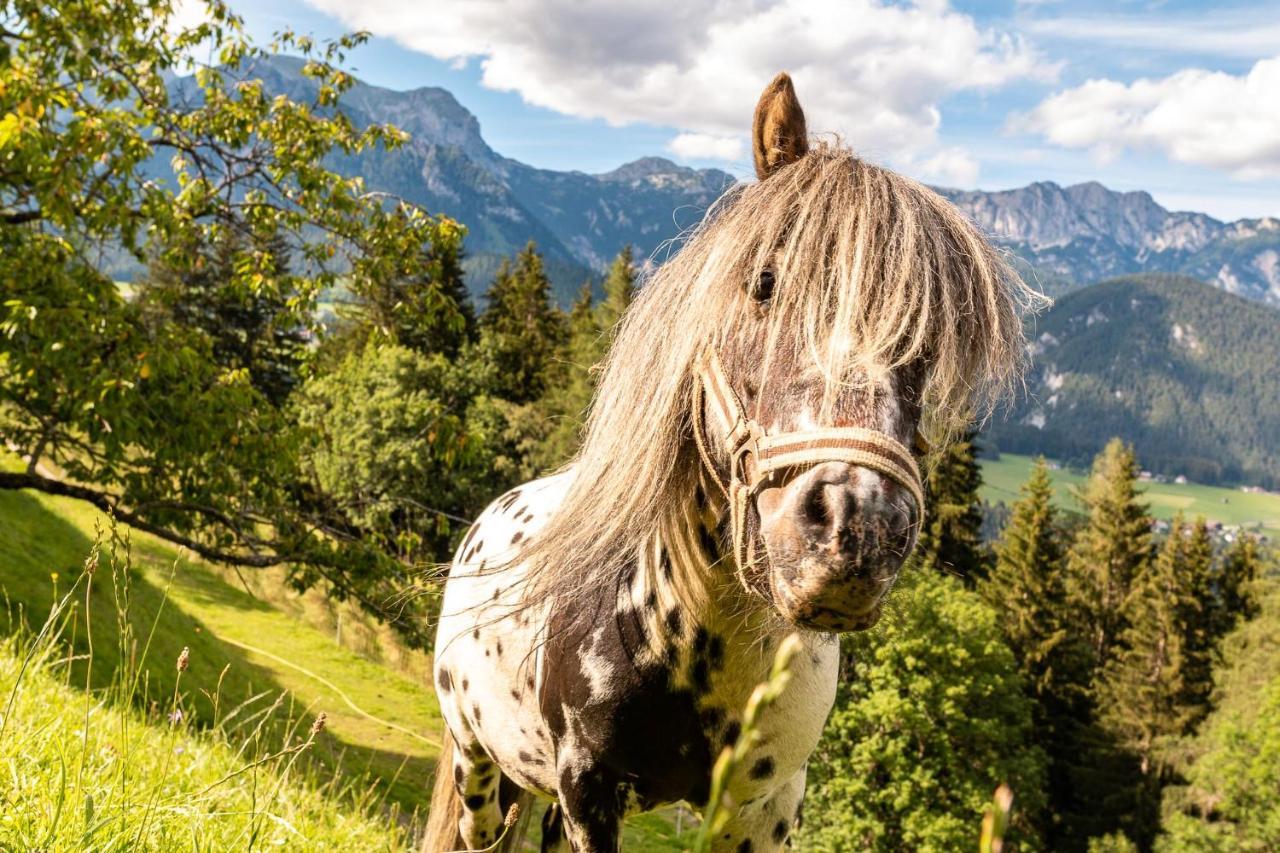 Bucheggerhof Appartement Schladming Buitenkant foto